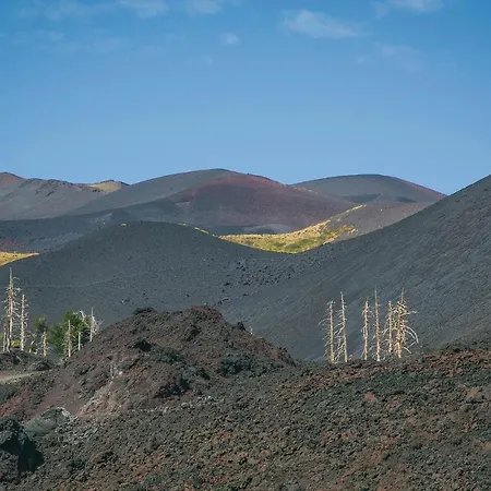 بيت للعطل Etna Family بيلباسو
